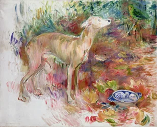 Laerte der Windhund, 1894